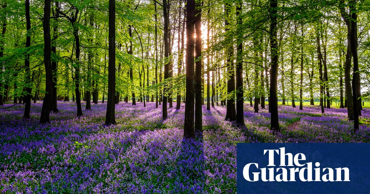 It S Blooming Spring 22 Great Uk Walks Travel The Guardian