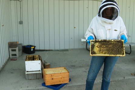 a women holding a frame covered in bees