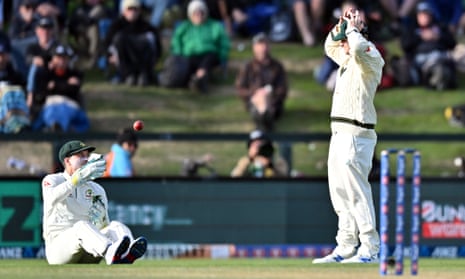 Steve Smith laments the Alex Carey dropped catch that spared New Zealand’s Tom Latham late on day two. 