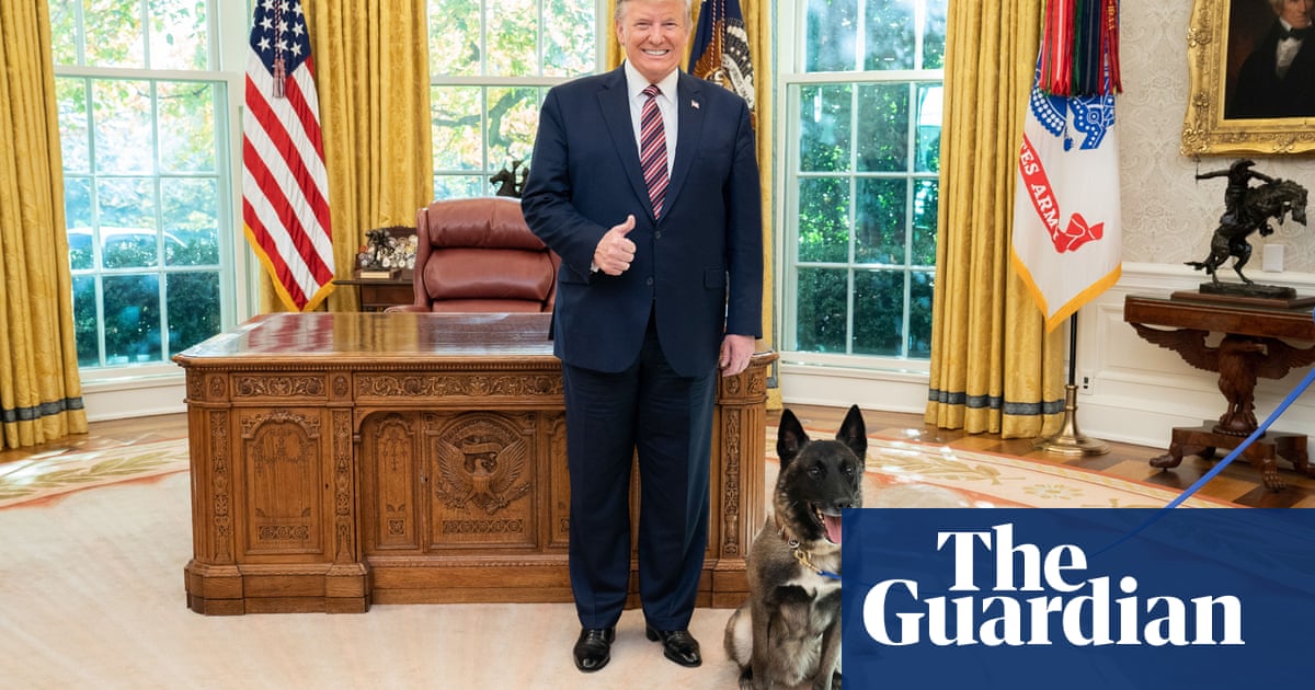 Down Boy How Trump And Conan Got Embroiled In Dog Gender Controversy Us News The Guardian