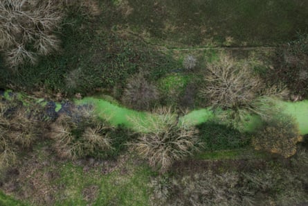 Aerial view of a bright green river running between bare trees and fields