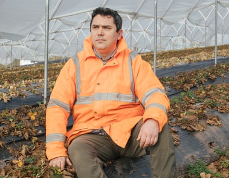 Cătălin Constandiș works at Haygrove – a berry, cherry and organic grower, with farms in the UK, South Africa and Portugal