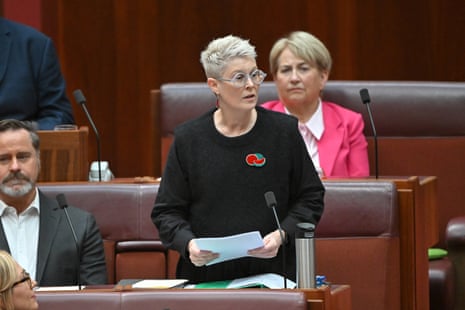 Greens senator Penny Allman-Payne