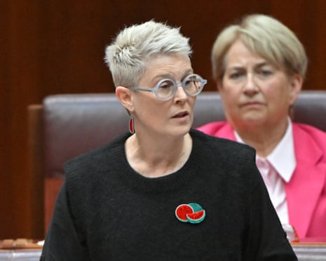 Greens senator Penny Allman-Payne
