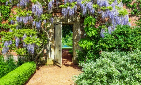 The Chelsea garden that shows how gardens can heal