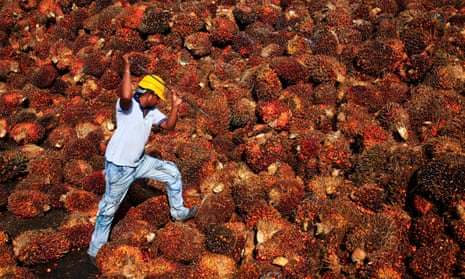 465px x 279px - Malaysian prisoners may face 'forced labour' on palm oil plantations |  Global development | The Guardian