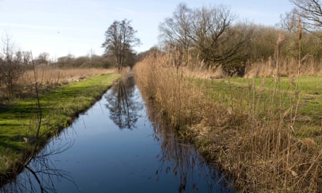 Woodwalton Fen near Ramsey is one of the last fragments of ancient fen to survive. 