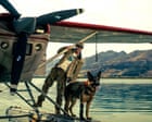 Heart of the Beast review – Brad Pitt survivalist dogmance serves up wilderness with side of cheese