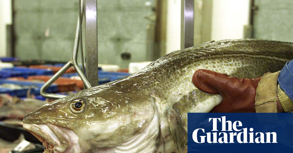 Brexit has done nothing to stem sharp decline of UK fish populations, shows study