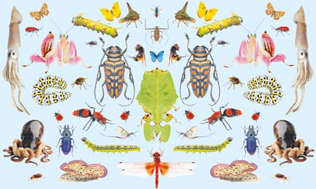A Giant Crawling Brain The Jaw Dropping World Of Termites News