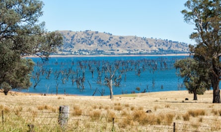 Aerators To Be Installed In Nsw Lakes Amid Fears Of More Fish Kills Murray Darling Basin The Guardian