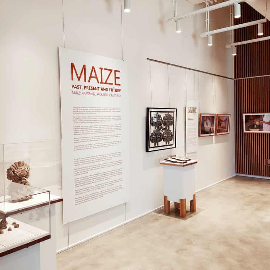 A sign at the museum exhibition reads “Maize: Past, Present and Future”. Pictures hang on the walls depicting the uses of corn and its influence. Several displays hold artifacts as well.