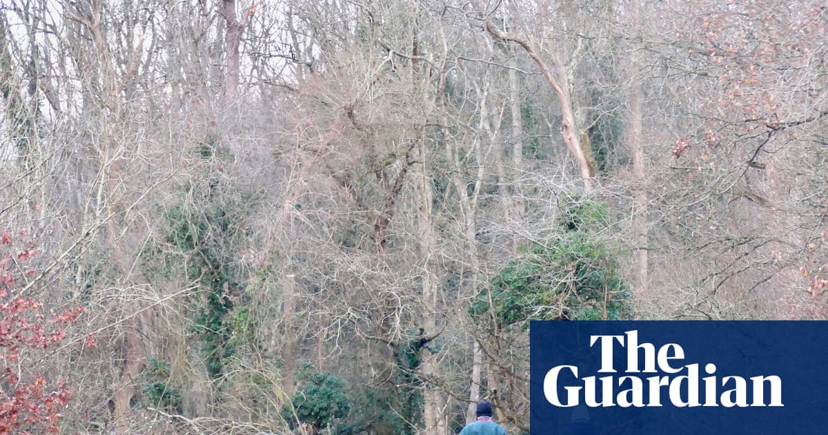 Snow and ice forecast for large parts of UK in new year cold snap