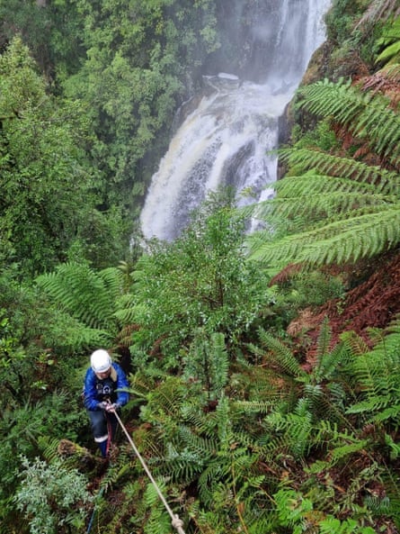 Teams searched Philosopher Falls track in Tasmania in 2023, looking for missing Belgian tourist Celine Cremer.