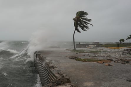 Waves lash against a seawall as a lone palm tree bends in the wind