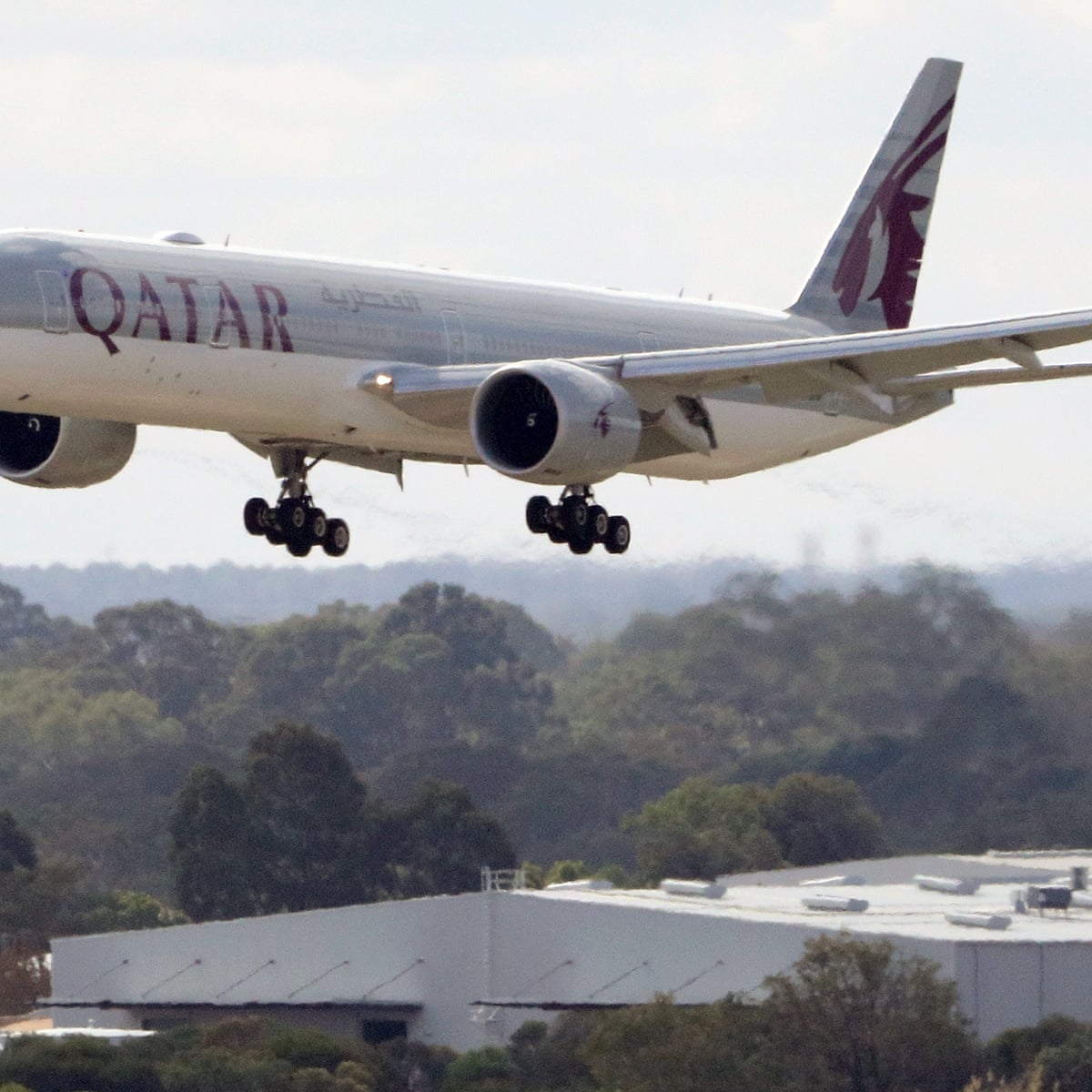 Accc Investigates Complaints About Airlines Flying To Australia During Covid 19 Australian Competition And Consumer Commission Accc The Guardian