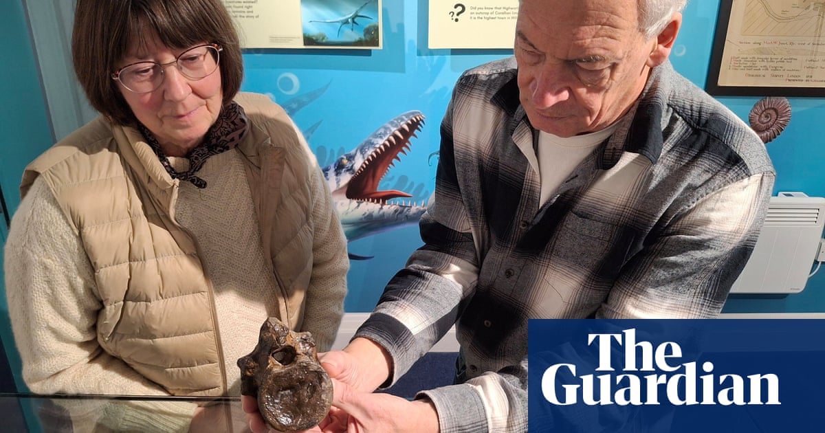 ‘Truly unique find’: part of Swindon Stegosaur returns to Wiltshire town | Dinosaurs ‘Truly unique find’: part of Swindon Stegosaur returns to Wiltshire town | Dinosaurs