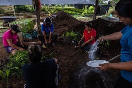 Women sit in a circle around a mound of compost repotting plants, while one adds a white powder to the growing mixture.