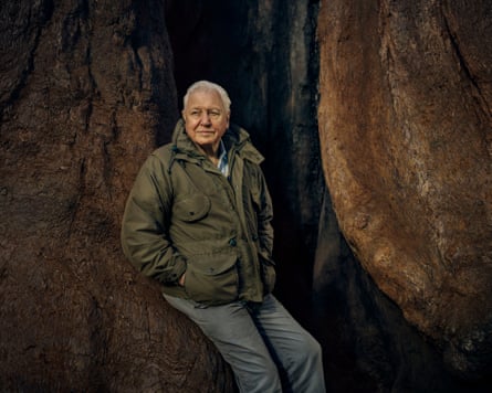 David Attenborough films in high definition for the first time in The Green Planet.