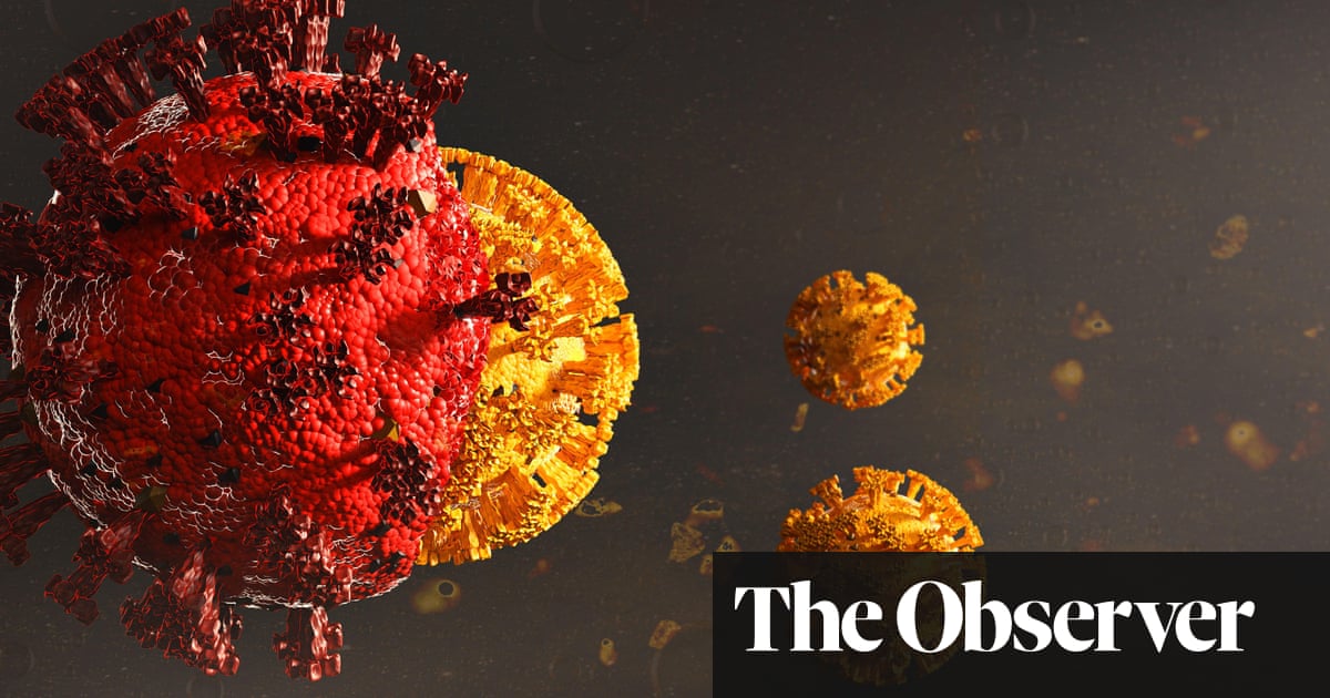 New studies reinforce belief that Omicron is less likely to damage lungs | Omicron variant | The Guardian