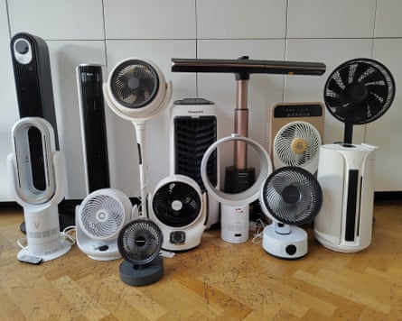 A selection of fans is organised on a wooden floor in front of white cupboards