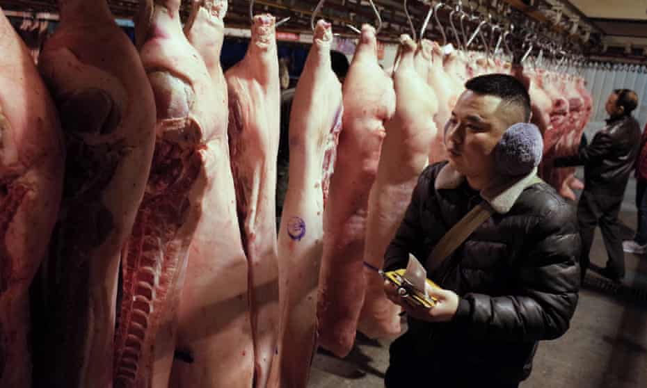 Man inspecting carcases at  wholesale meat market