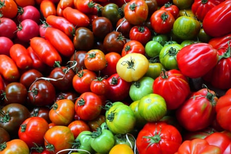 A variety of tomatoes.