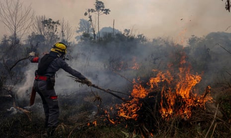 A firefighter tackles a blaze in the Amazon rainforest in Apuí, Brazil.