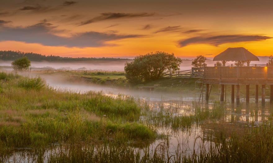 Poland Green Velo Trail Marshes near Narew River