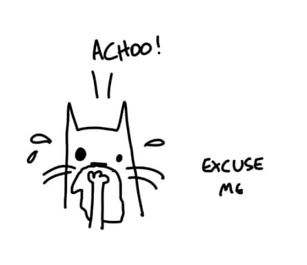 Achoo, excuse me. Chu Chu, First Dog on the Moon’s cat sneezes a lot.
