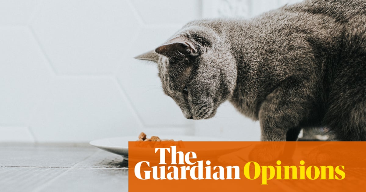 Lab-grown meat is the future for pet food - and that's a huge opportunity for Britain | Lucy McCormick