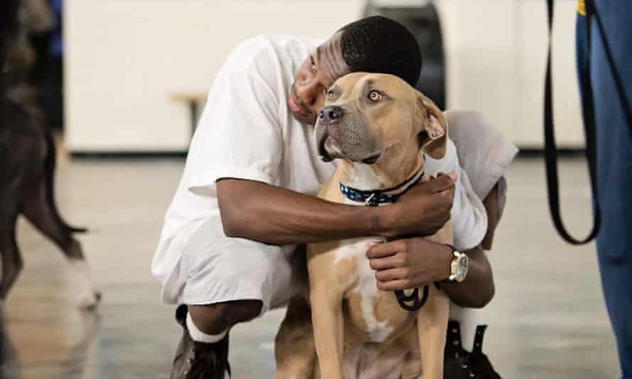 Best of buddies: Jason Mori has now left prison and has set up a successful dog training business called K9BreakThru.