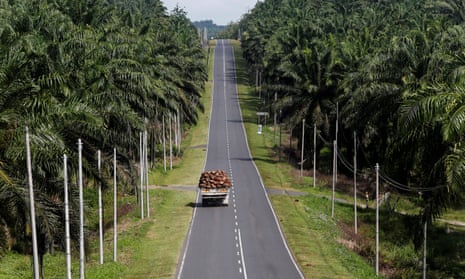 A truck carrying oil palm fruits passes through a plantation in Sabah, Malaysia.