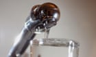 NZ town hit by mass gastro outbreak is sent E coli-infected water by council