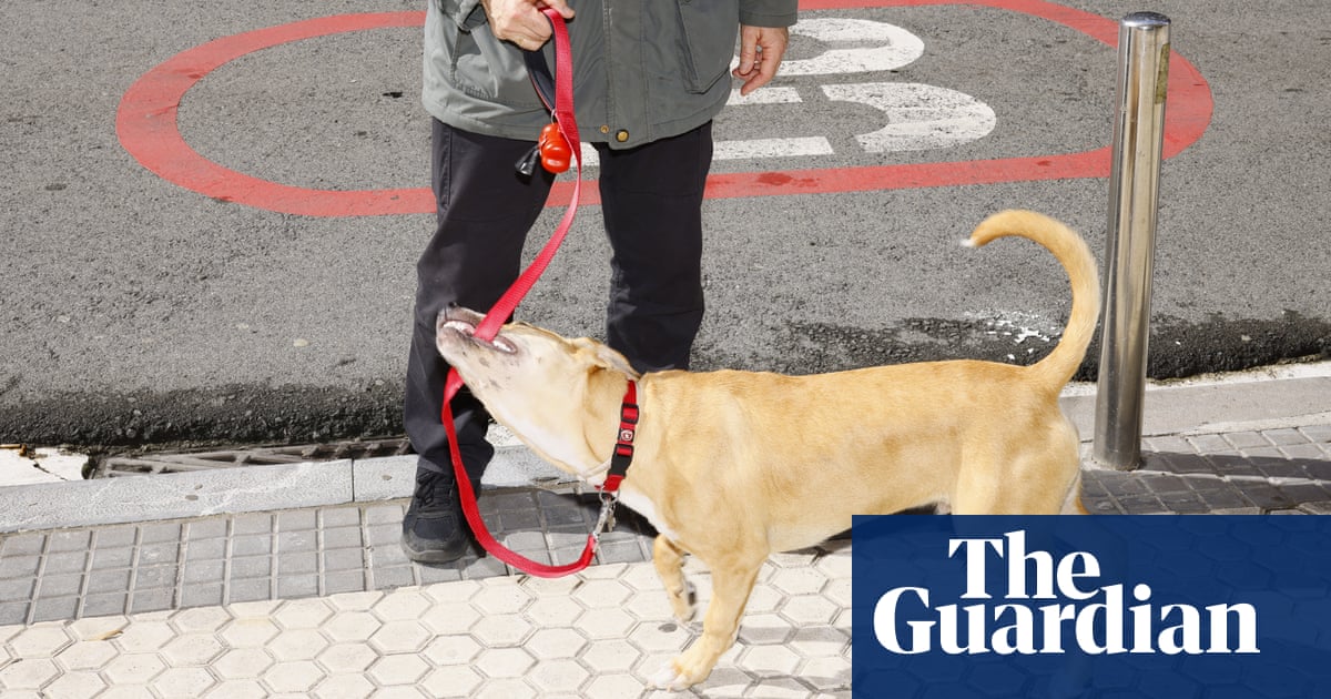 Spain unleashed! Pups, plaster casts and pigeon painters in pictures