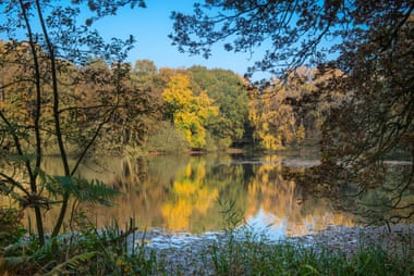 A small lake surrounded by trees in autumn foliage