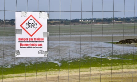 A sign warns of toxic seaweed in the Vallais beach, covered with toxic green algae, in Saint-Brieuc, northwestern France, on 10 July 2019.