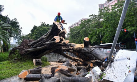 A worker cuts up a fallen tree in Shenzhen, Guangdong province.