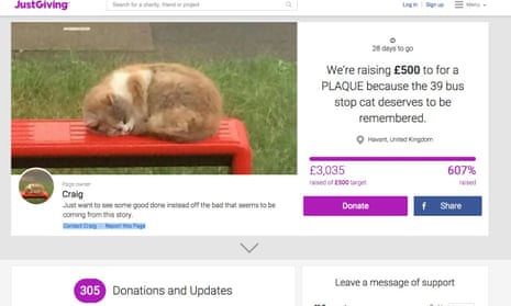 The fundraising page for Missy the cat