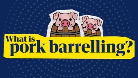 Pork barrelling: what is it and why is it a problem? | News glossary – video