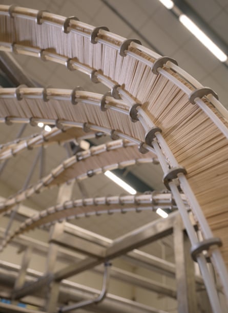 Lolly sticks on a conveyor belt in the Mangum’s ice-cream factory