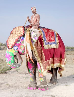 The Extraordinary Painted Elephants Of India In Pictures Art