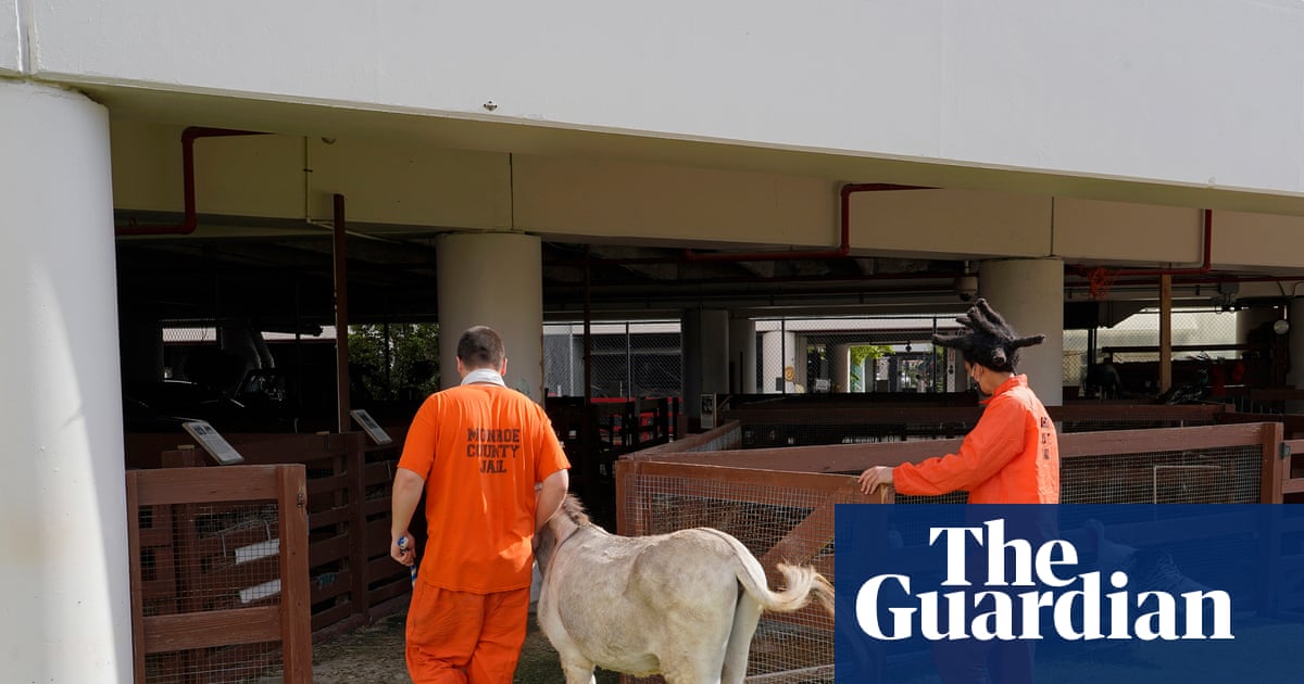 ‘Former inmates want to come back to visit’: inside Florida’s prison zoo