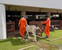Peter Faraco and Rodney Cox, then-inmates a the Monroe County Detention Center, in the jail’s on-site zoo in July 2021