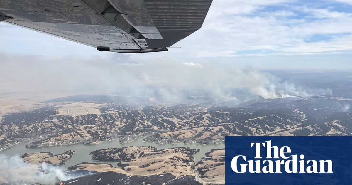 ‘Nothing but tree skeletons’: record-breaking wildfires devastate US cattle country
