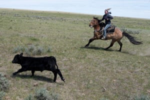 Montana ranching
