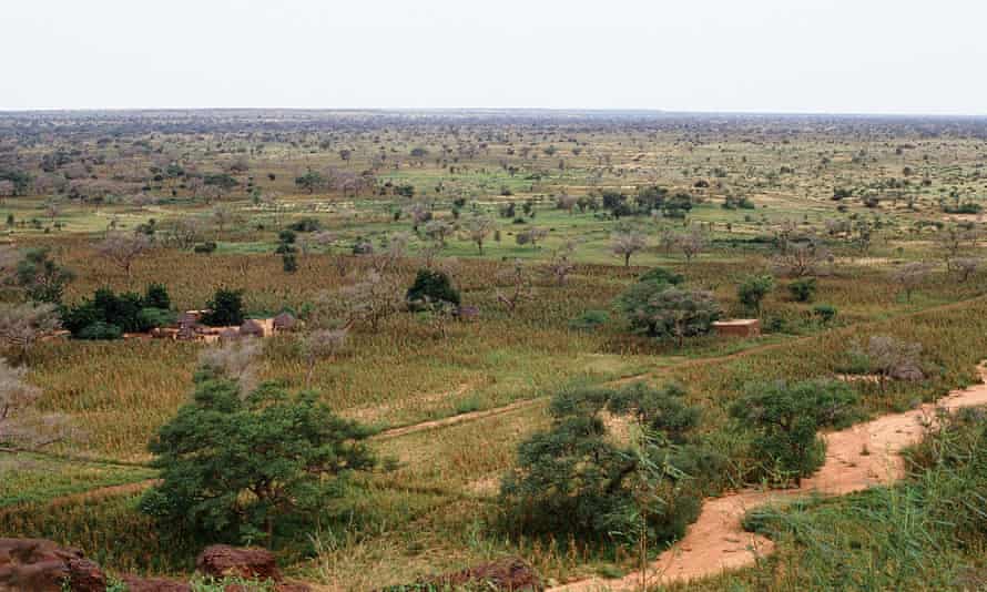 Near Dogondoutchi, about 200 km east of Niamey. The setting is in a “Dallol” which is a broad, sandy valley completely devoted to rainfed cropland.