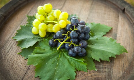 Using grapes in the brewing process is more popular than ever.