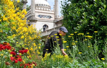 he stands in a bed of tall yellow flowers with red flowers in the foreground and the Pavilion in the background.
