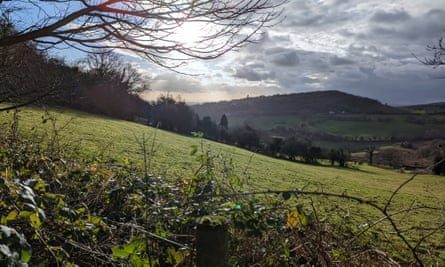 Vue depuis la montée jusqu'à Gray Hill, forêt de Wentwood, au Pays de Galles, lors d'une journée ensoleillée d'automne.
